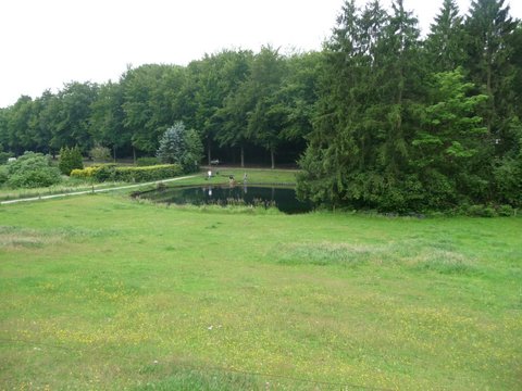 Vijver